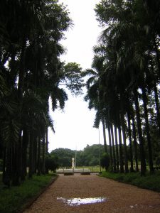 Kolkata_botanical_garden_pathway