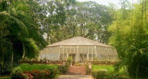 acharya-jagadish-chandra-bose-botanical-garden-kolkata-tourism-opening-time-closing